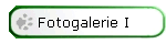 Fotogalerie I