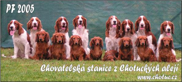 WSS zleva: Hit, Diana, Coney, Hank, Honey, Crys, Cindy, Hela - jezevci zleva: Fred, Fredie, Feli, Bessie, Emi, Bra, Felly a Alla