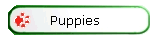 Puppies