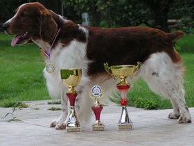 Crys with medal and bowls from show at Mlad Boleslav