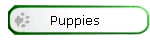 Puppies