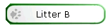 Litter B