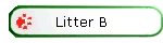 Litter B