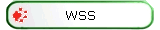 WSS