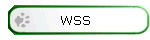 WSS