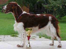 Cindy with medal and bowl from show at Mlad Boleslav