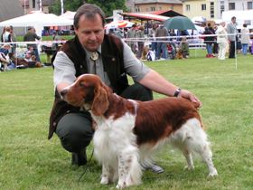 Crys at National dog show Mlad Boleslav 