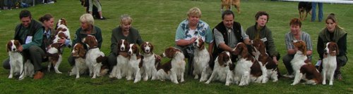 Common photo WSS at National dogs show Mlad Boleslav